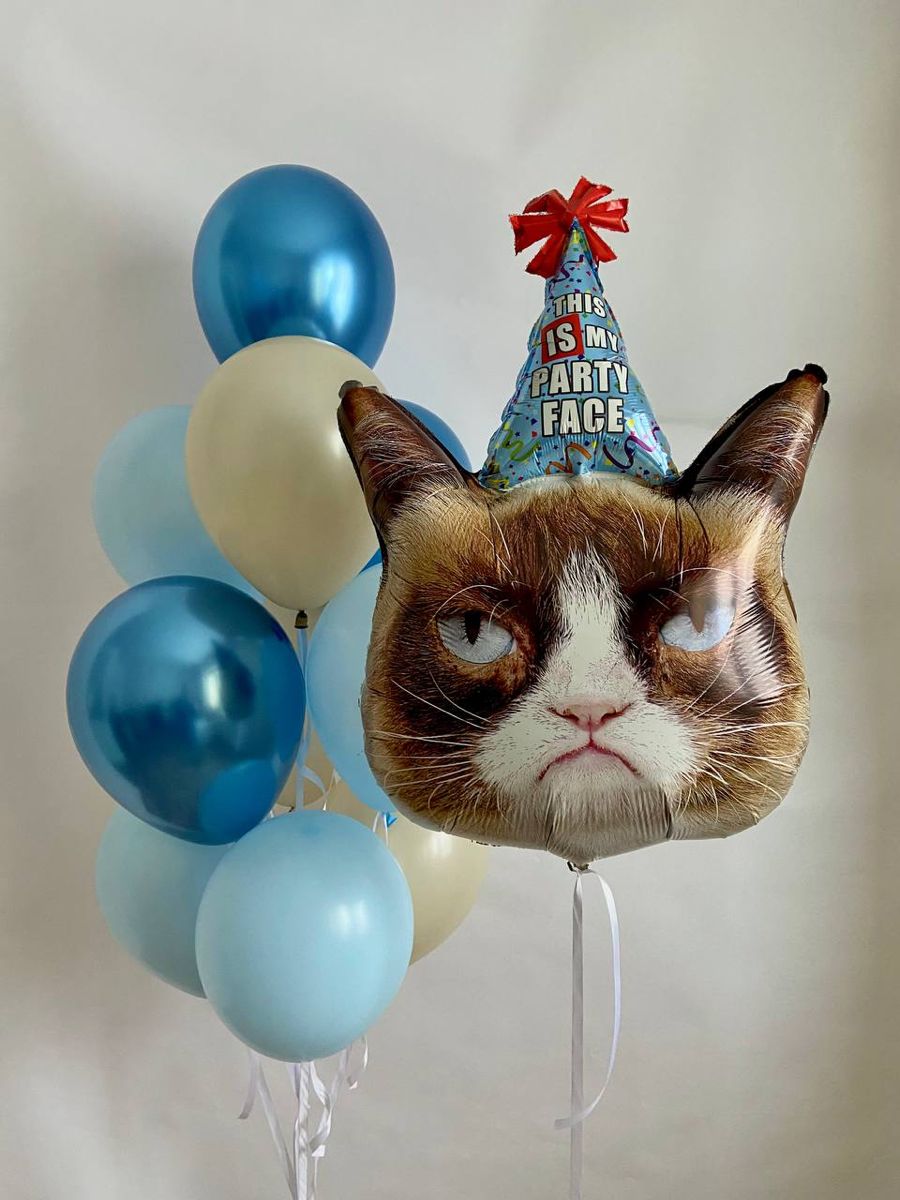 Композиция «Grumpy Cat»