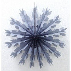 Диск Снежинка Серебро