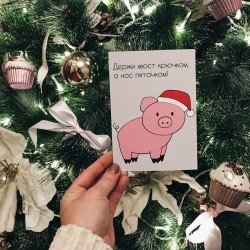 Открытка «Свинка в колпаке» 