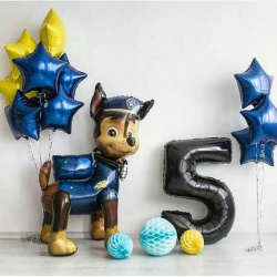 Готовое решение «Гонщик Чейз»